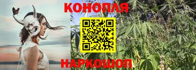 spice Наро-Фоминск