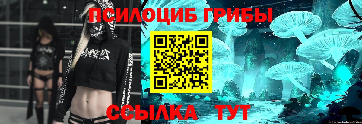Галлюциногенные грибы мухоморы Строитель