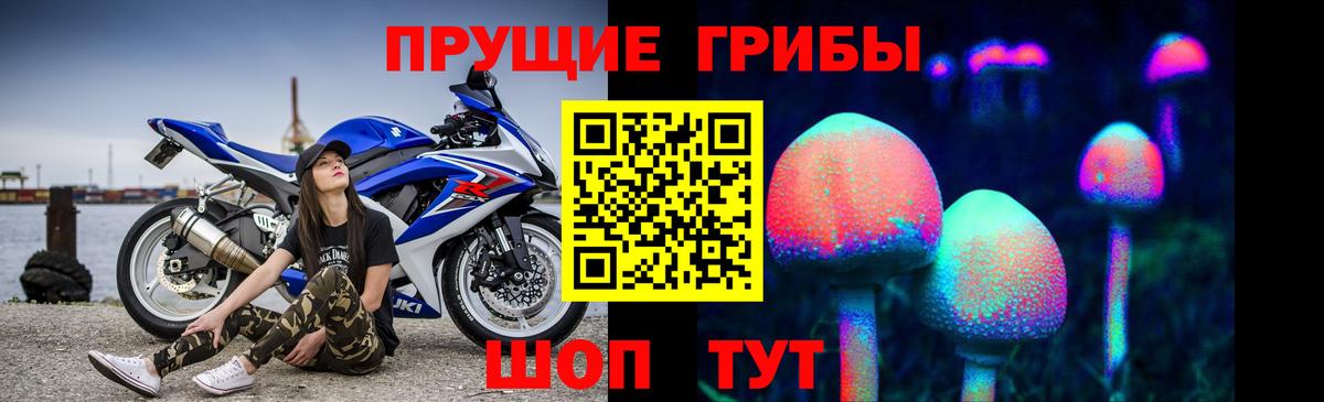 Псилоцибиновые грибы GOLDEN TEACHER  Вход с VPN  Строитель 